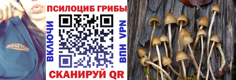 купить наркотик Разумное Псилоцибиновые грибы Psilocybine cubensis
